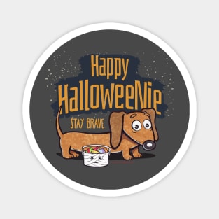 Funny and spooky Halloweenie Doxie Dachshund with staying Brave for trick or treating on Halloween tee Magnet
